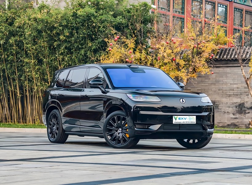 DENZA N9-дағы барлық флаг қорғау жолдары 21 наурызда іске қосылады.