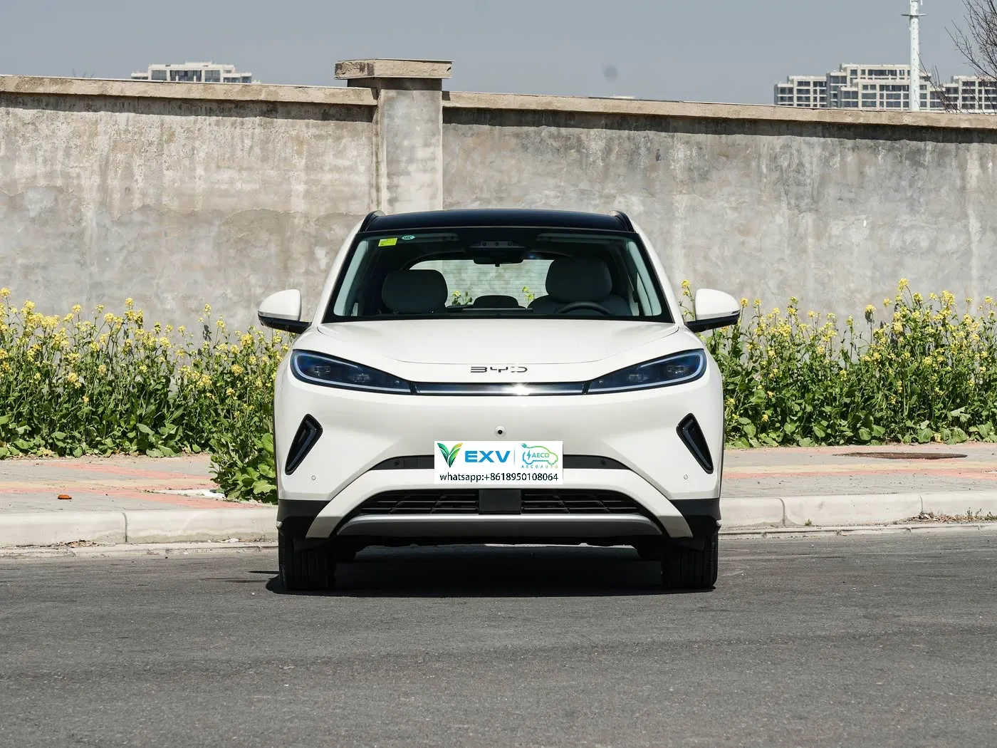 Byd Sne Lion 05 EV 25 наурызда басталады, ол Tian Shen ji yan c жоғары деңгейлі интеллектуалды жүргізу жүйесінде барлық модельдерде стандарт ретінде басталады.